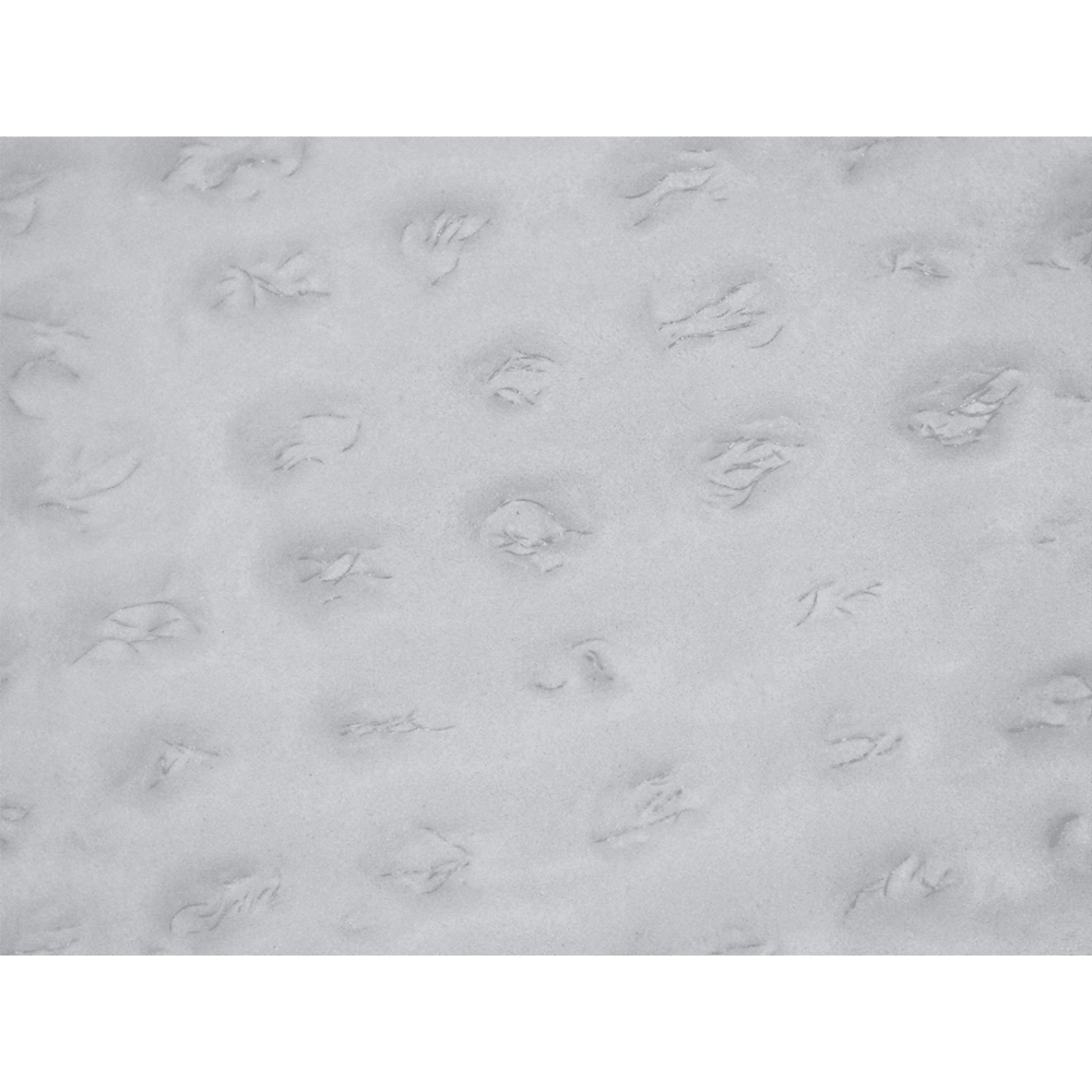 Global Glove PUG006 official product image 5